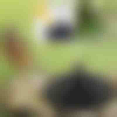 Oživte svoju záhradu so solárnou magickou fontánou | FONTANA