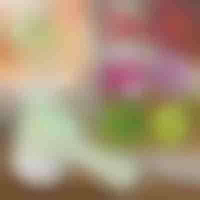 4 v 1 ručný elektrický sekáčik | ROTOCHOP